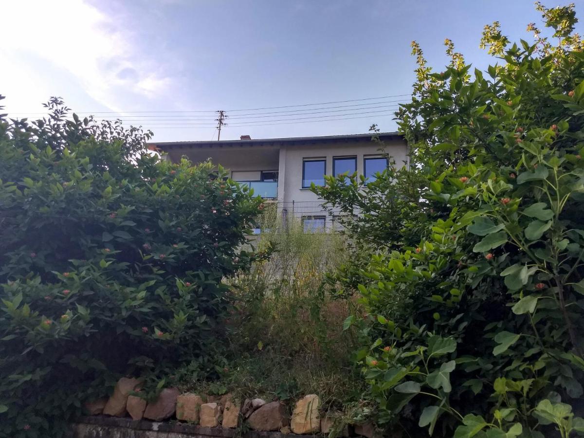 Ferienhaus Fräulein Frenz Bollendorf Exterior foto